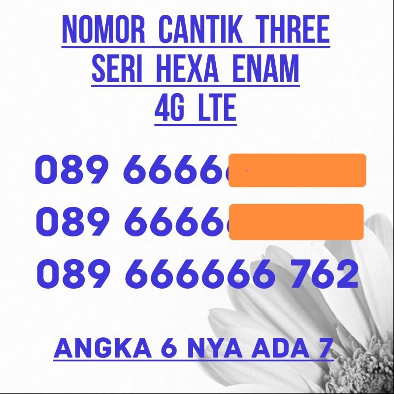 NOMOR SUPER TRI NOMOR TRI SUPER CANTIK 12 DIGIT EKOR RAPI SERI HEXA SEMPURNA REGULER ISI ULANG BIASA