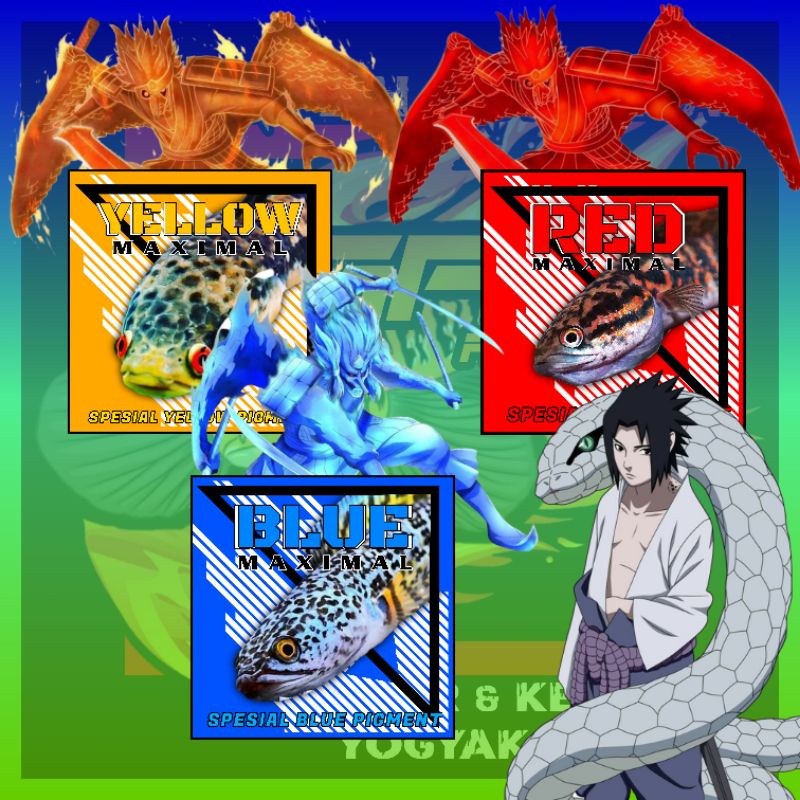 Pelet Susano Maksimal Collor Red Blue Yellow