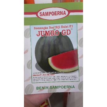 TERLARIS SEMANGKA NON BIJI BULAT F1 JUMBO GD. PERLENGKAPAN RUMAH TAMAN