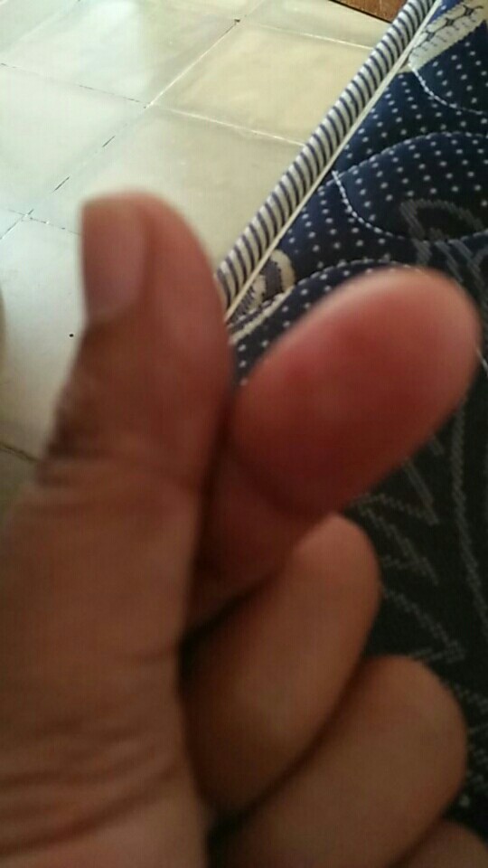 Goedangmoe Spatula Silikon Food Grade / Fda Certified / Pengaduk Adonan