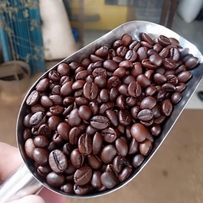 

TERLARIS Kopi Robusta Aceh Gayo 1 Kg/MINUMAN COLLAGEN/MINUMAN YOYIC/MINUMAN DIET/MINUMAN PEMUTIH BADAN/MINUMAN KOREA/MINUMAN KEMASAN/MINUMAN KALENG/MINUMAN KOTAK/MINUMAN SEHAT HERBAL/MINUMAN SEHAT UNTUK TUBUH/MINUMAN SEHAT ORGANIC/MINUMAN SEHAT UNTUK