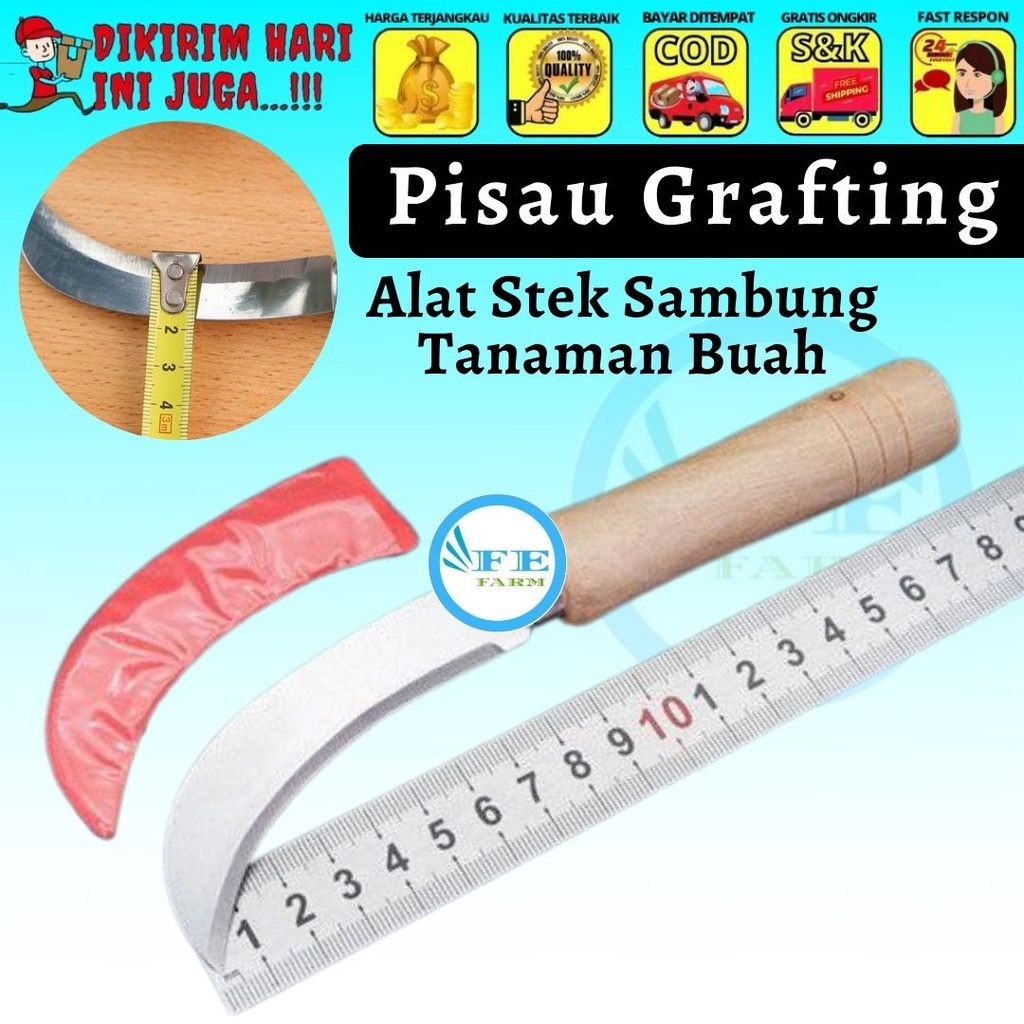 Pisau Grafting Alat stek sambung tanaman buah gagang kayu FEFARM