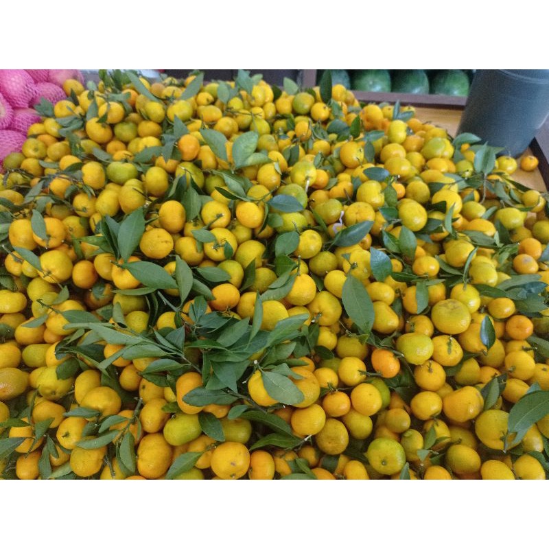 

Jeruk Santang Asli manis tanpa biji 1 kg
