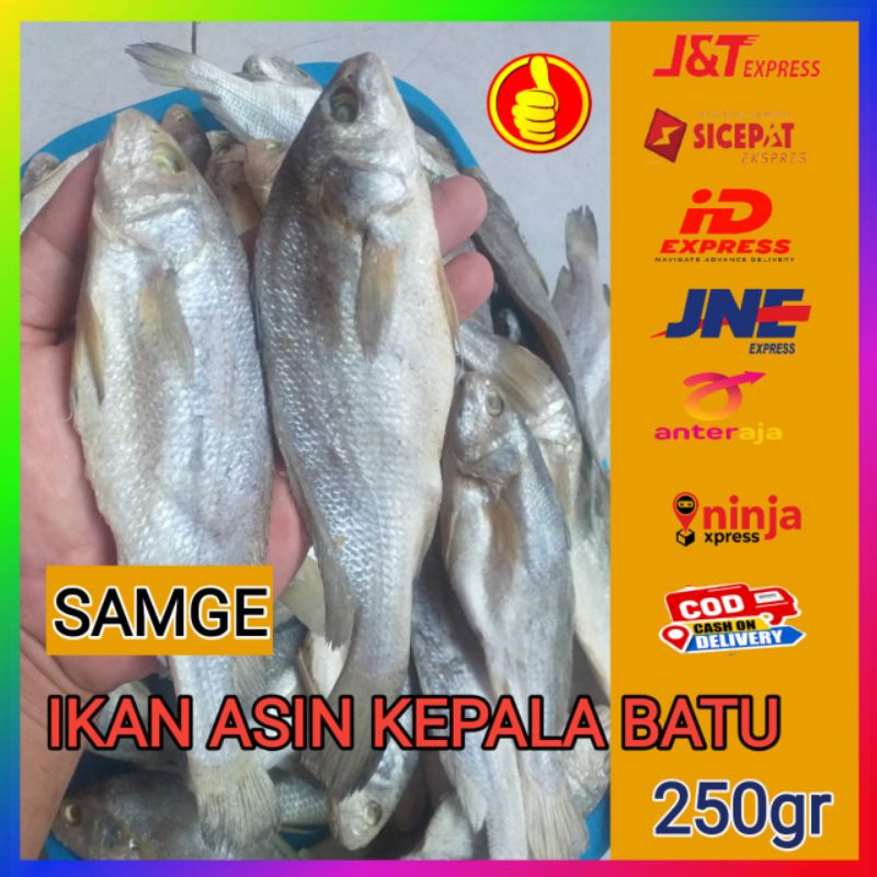 

Ikan Asin Kepala Batu Ikan Asin Samge Ikan Asin Sileman