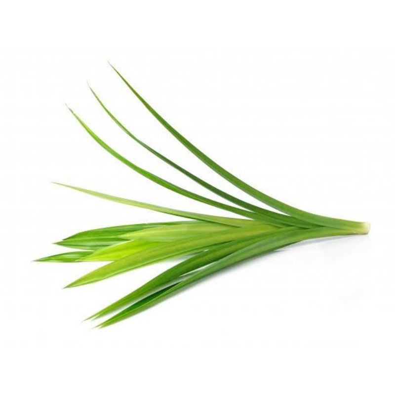 

Daun pandan FRESH ORGANIK