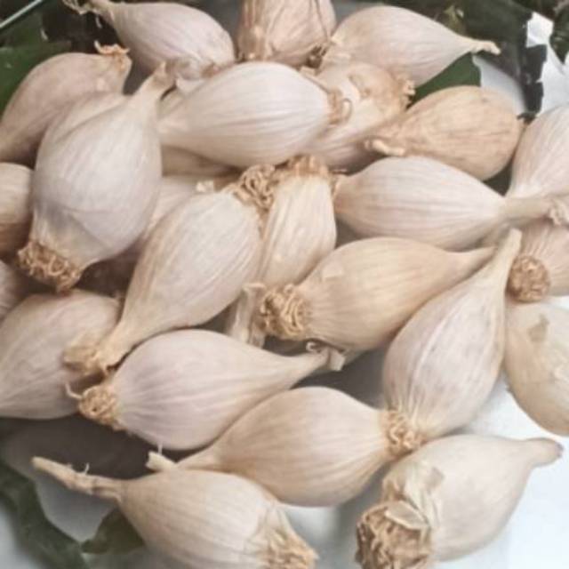 

Bawang Putih Tunggal LOKAL 1/2 KG ( 500 gram)