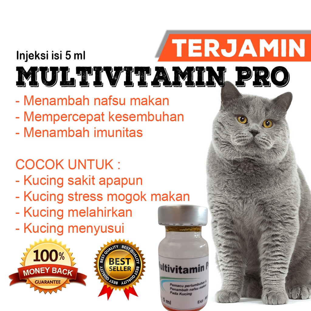 OBAT INJEKSI SUNTIK MULTIVITAMIN PRO DAN PENAMBAH NAFSU MAKAN PADA KUCING SERTA MEMACU PERTUMBUHAN