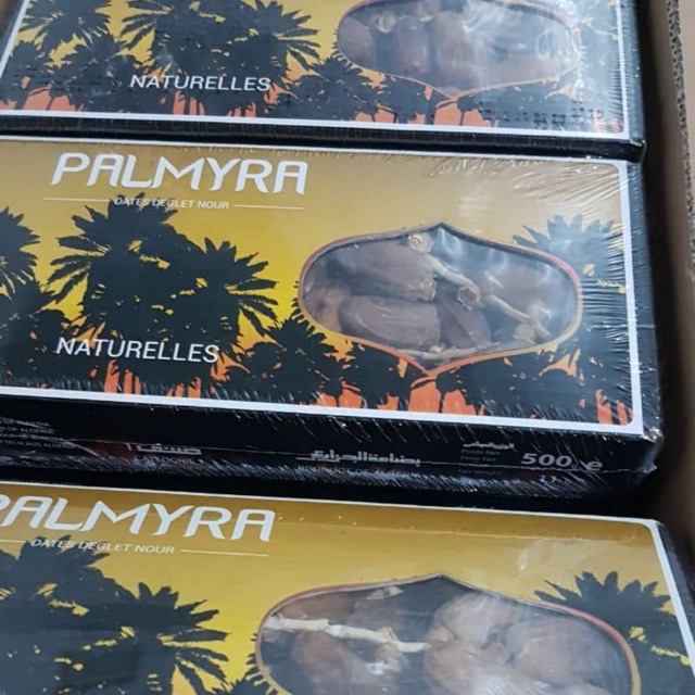

Kurma tunis palmyra