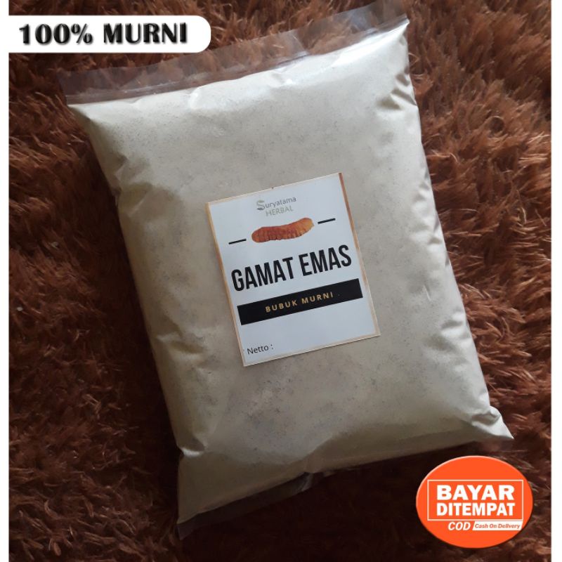 Gamat Emas Serbuk 1 kg
