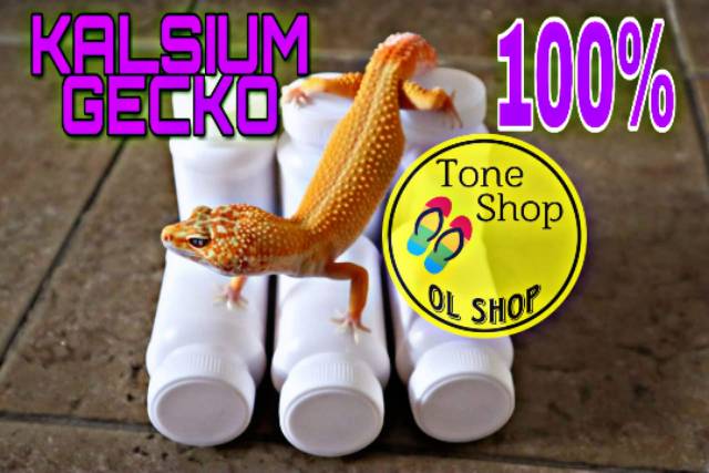 KALSIUM GECKO REPTILE 100%