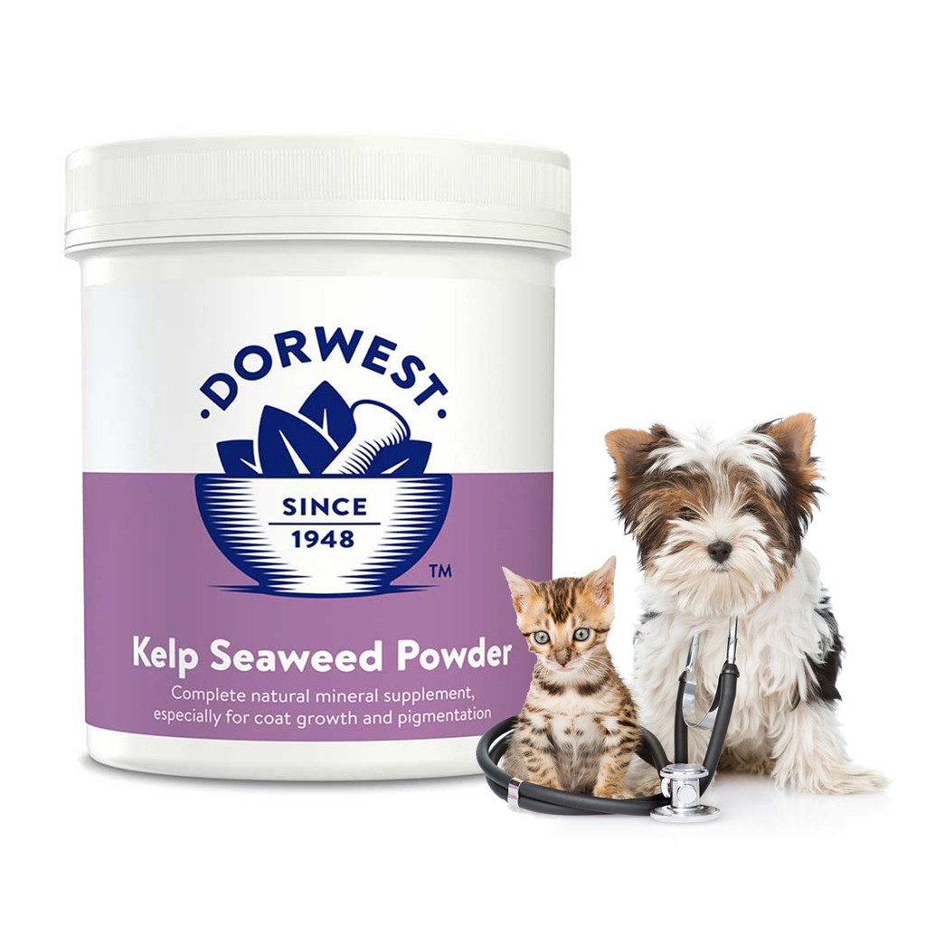 Dorwest Kelp Seaweed Powder 500
