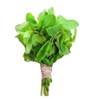 

DAUN PEPPERMINT MINT - PASAR KEMIRI