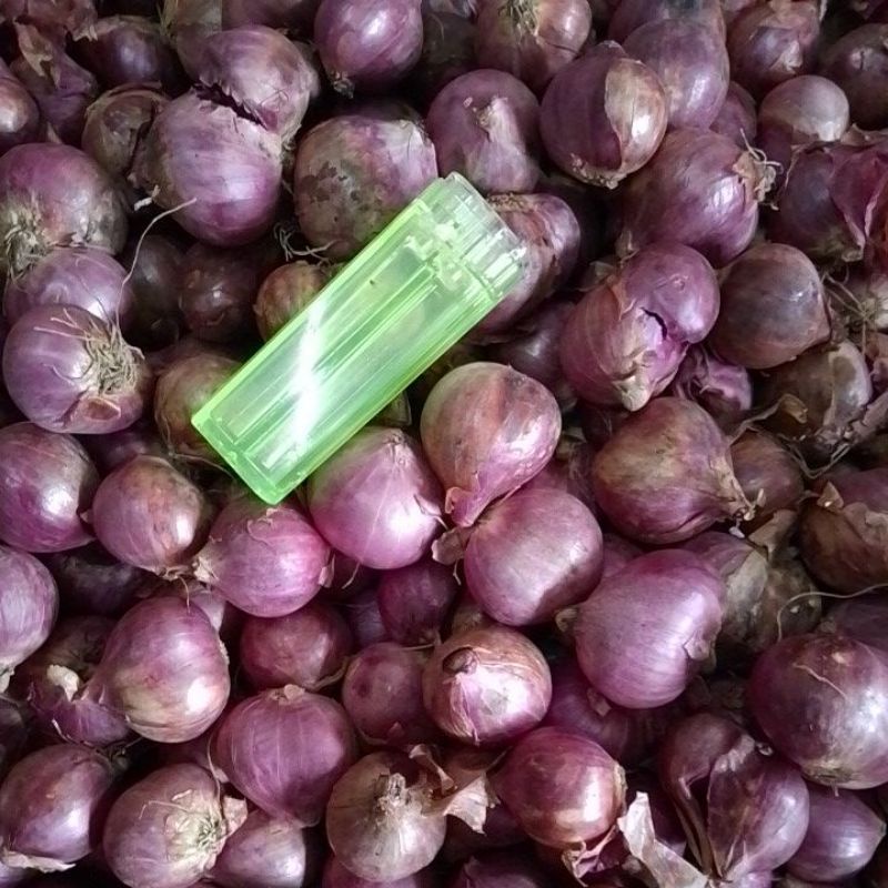 

Bawang Merah Kering 1000 gr