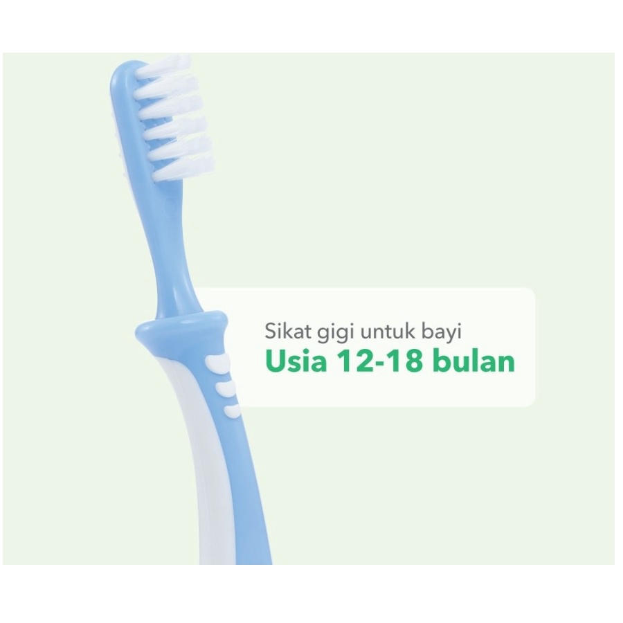 Pigeon Baby Training Toothbrush Lesson 3 Sikat Gigi Bayi Usia 12-18m+ Training Tooth Brush Pigeon WHS