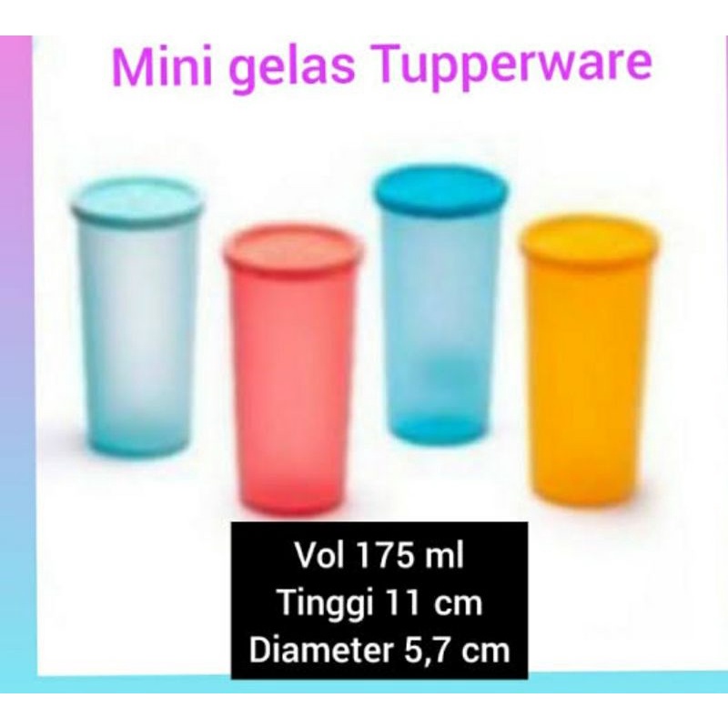 mini tumbler 175 ml tupperware