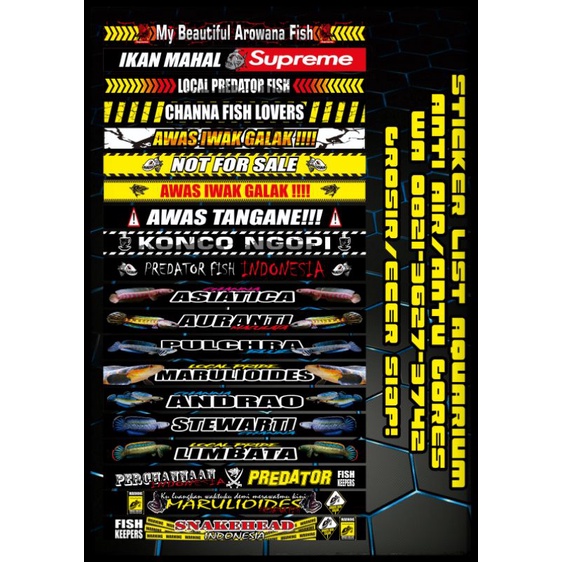 (ADA BONUSNYA) Sticker iwak sticker iwak galak sticker iwak predator stiker iwak galak stiker predat