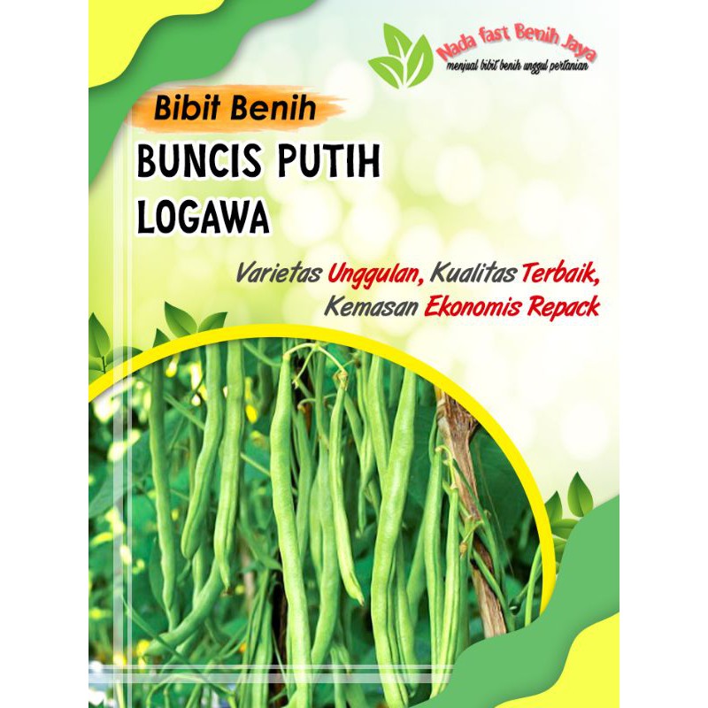 Bibit buncis putih logawa - benih buncis bangkok putih