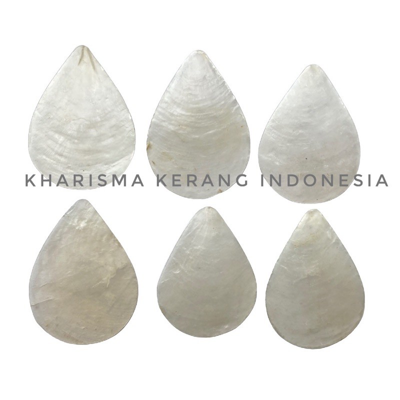 CAPIZ SHELL TEARS DROP SHAPE KERANG CAPIZ KERANG SIMPING KULIT KERANG SIMPING KULIT KERANG CAPIZ CAN