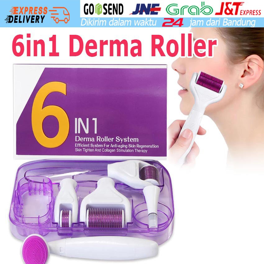 6in1 Paket Derma Roller Micro Jarum Titanium Alat Pijat Wajah Keriput Mata Pengecil Pori Kulit