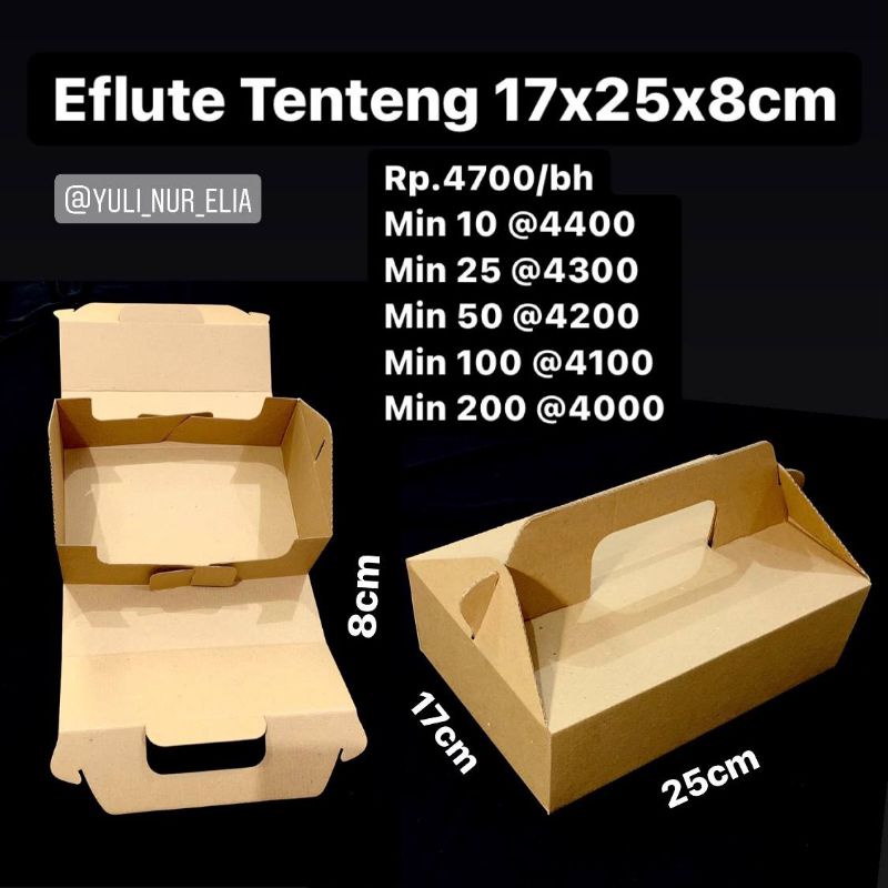 

Box Eflute Tenteng 17x25x8cm