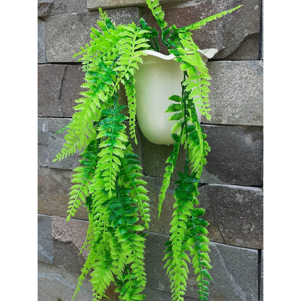 Jual Vioree - Pakis Hiasan Dinding Daun Plastik Rambat Plus Pot Tempel ...