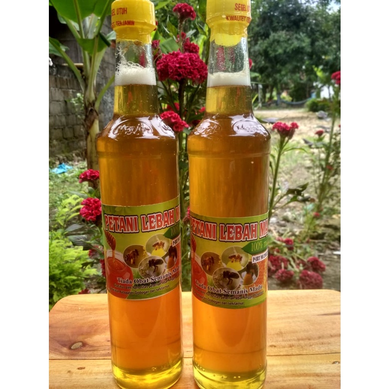 

MADU MULTIFLORA 450ML ASLI 100% KEMASAN BOTOL KACA