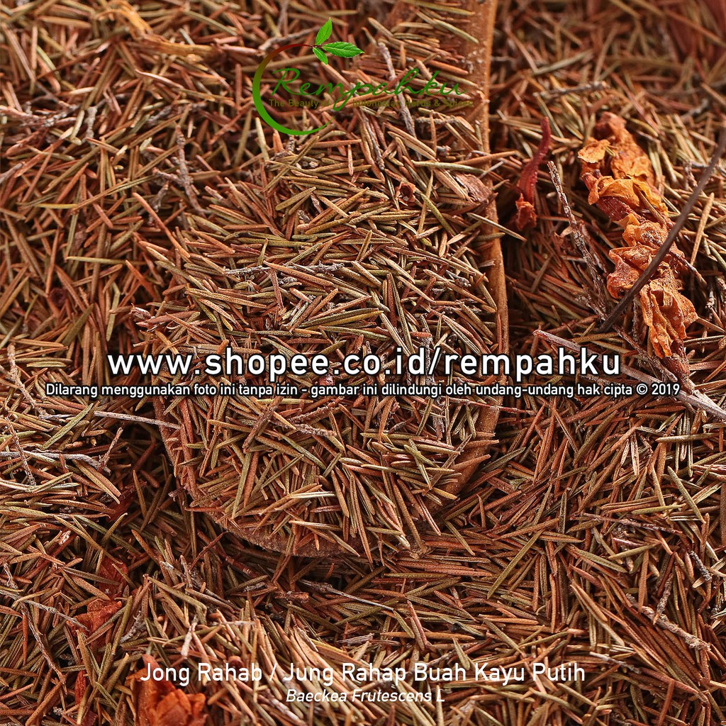 

Rempahku - JONG RAHAP 10gr Sample Jung Rahap Buah Kayu Putih Herbal