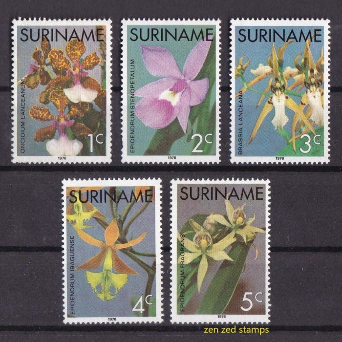 

0315 Perangko Jepang 1976 Flora Orchids 5v Mnh