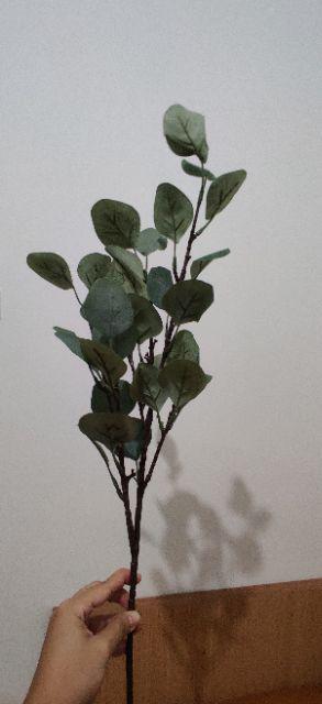 Euca. Eucalyptus Artificial