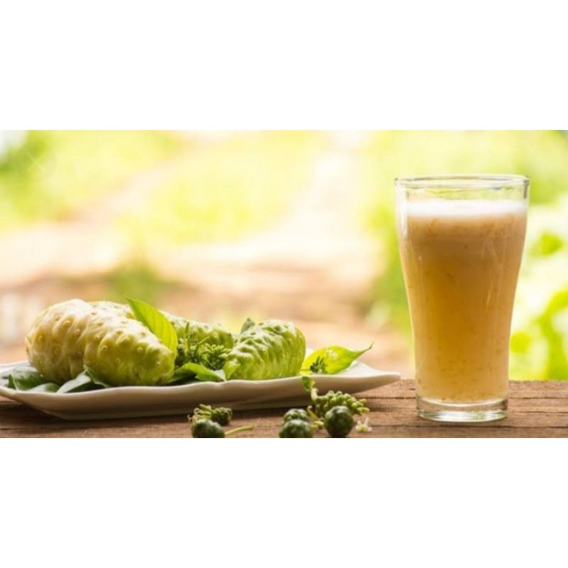 jus mengkudu obat herbal