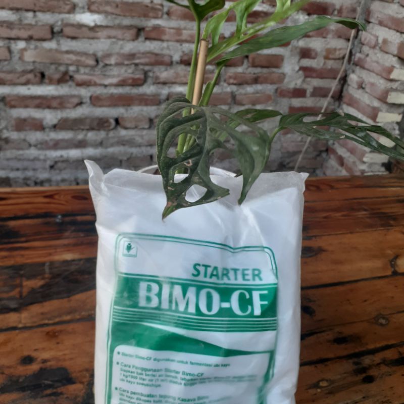 

starter bimo starterbimo-cf