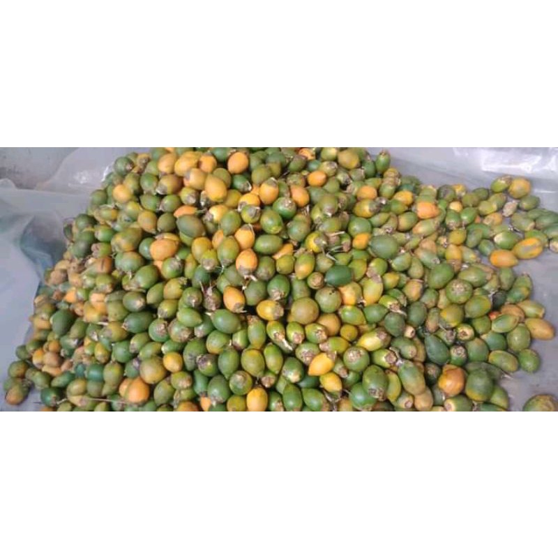 

buah Jambe udah matang 500 grm baik untuk kesehatan darah