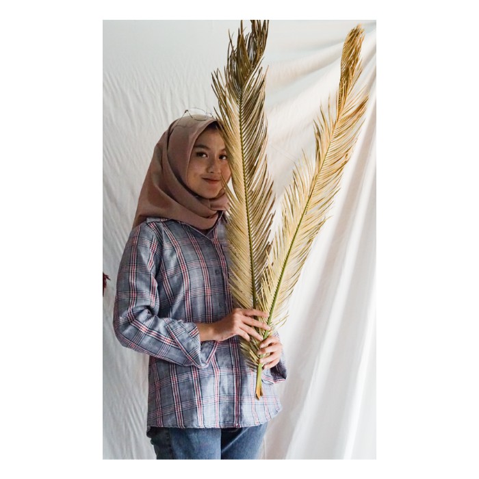 SIKAS DAUN Kering Palem kering dekorasi kering dekorasi Wedding Bunga Kering Daun sikas kering