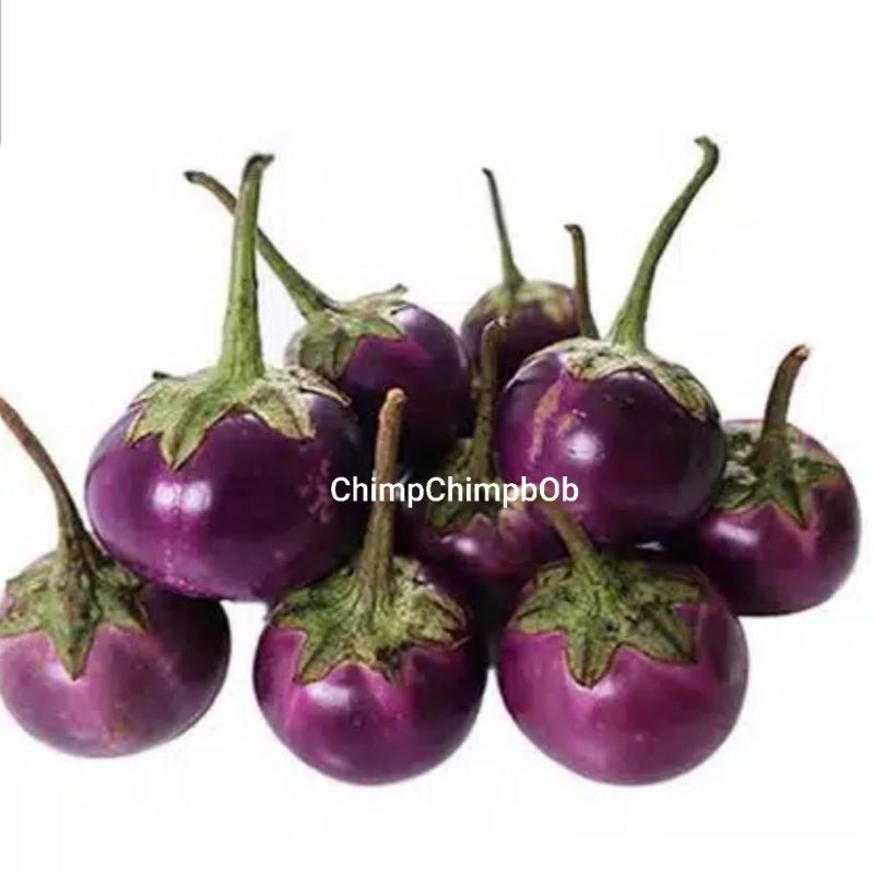 

TERONG UNGU BULAT SEGAR 250 GRAM / EGG PLANT PURPLE FRESH 250 GRAM