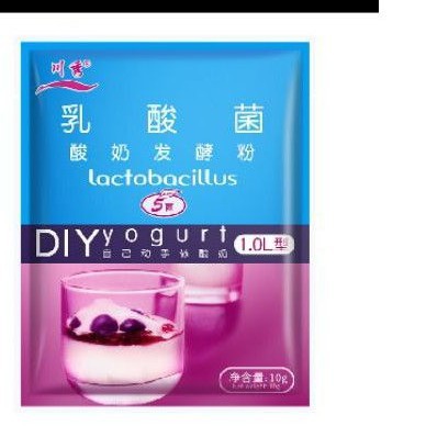 lactobacillus/bibit yogurt