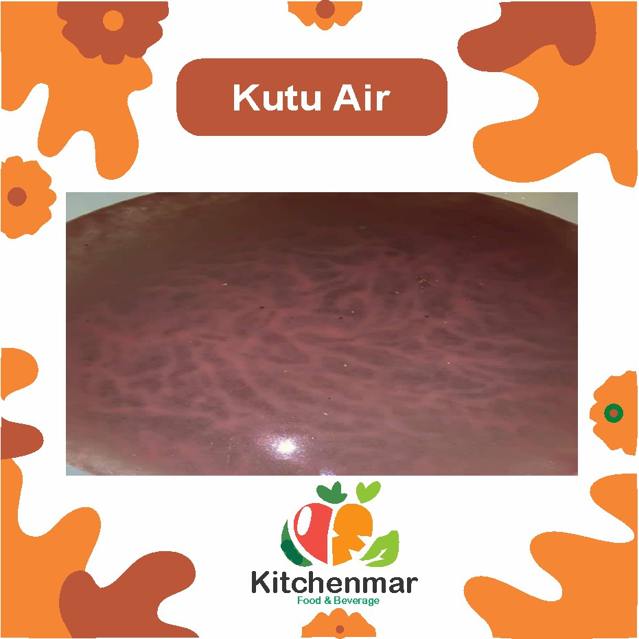 Kutu Air Fresh Pakan Ikan Cupang