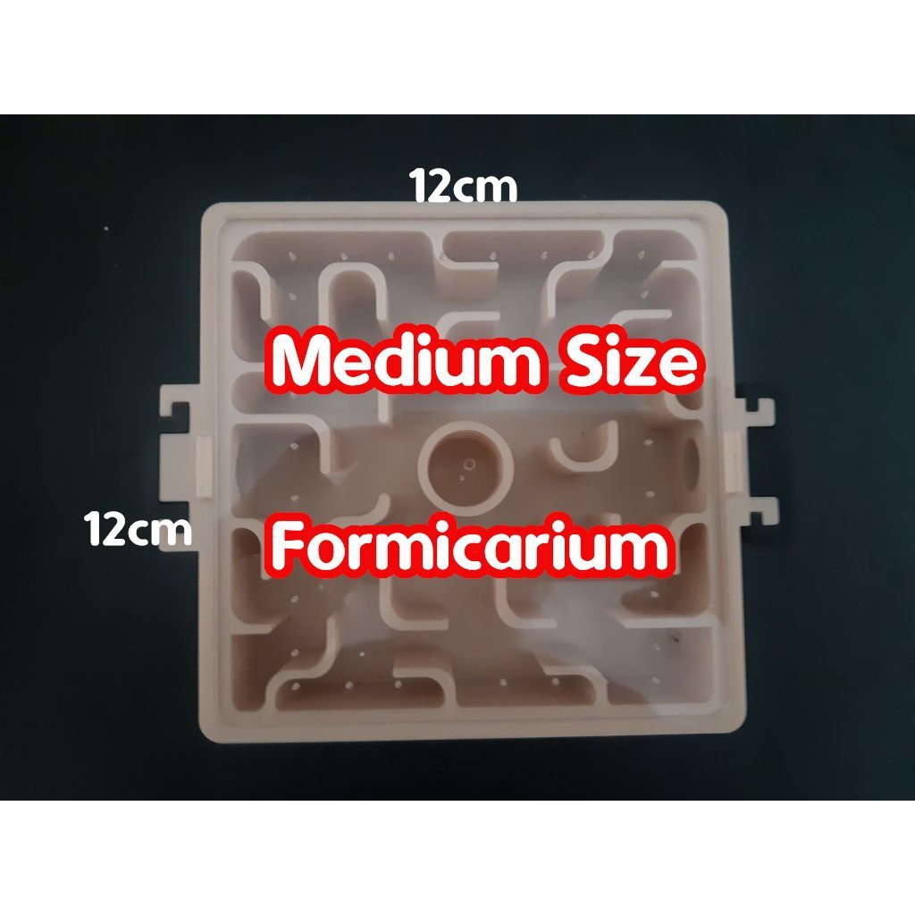 Medium Size Formicarium - Ant Nest