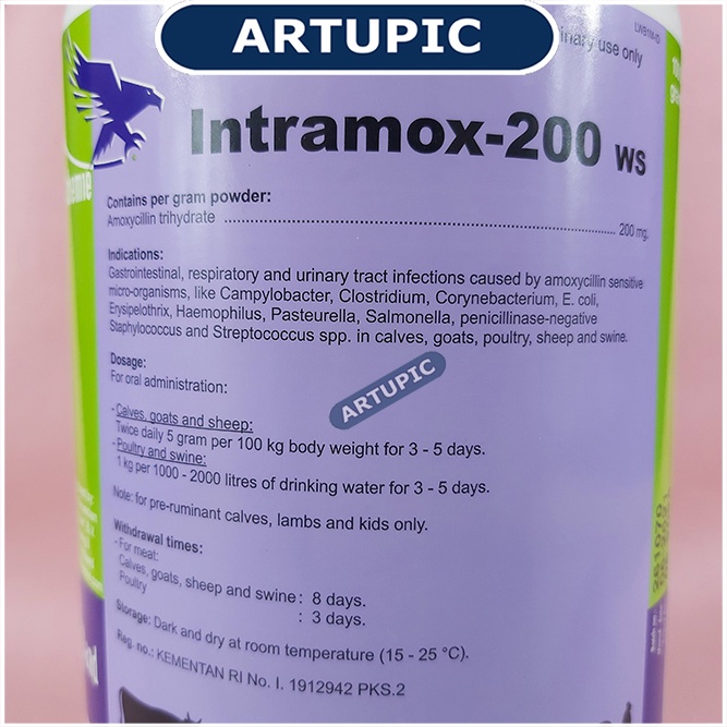 Intramox-200 WS 1 Kg Obat Koli Coli Coryza Kolera Colera Salmonela Berak Kapur Infeksi Pernafasan Pencernaan Perkencingan Bakteri Positif Negatif anak sapi kambing domba babi ayam