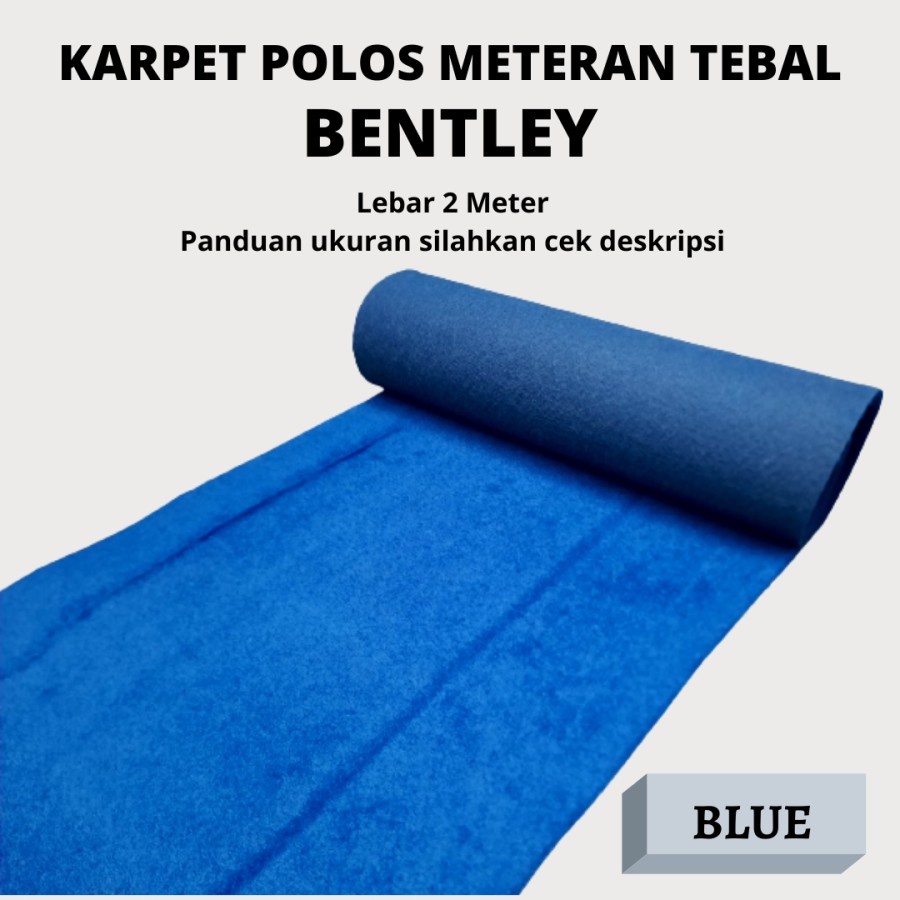 BENTLEY Karpet Bludru Bulu Tebal (0.5mx2m), Karpet Brudu Murah, Pameran, Alas duduk, Alas Kasur-BLUE