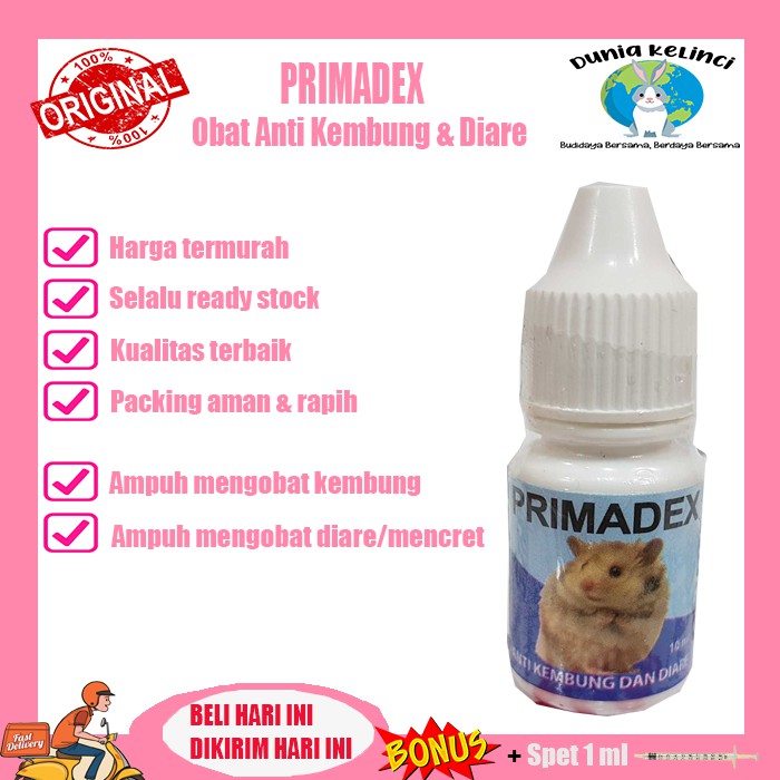 OBAT MENCRET KEMBUNG HAMSTER DIARE PRIMADEX