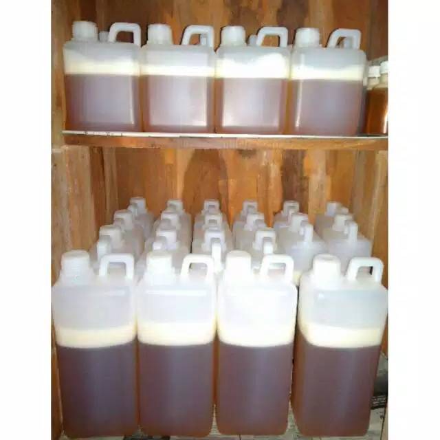 

Madu hutan kalimantan asli 1kg 500gr