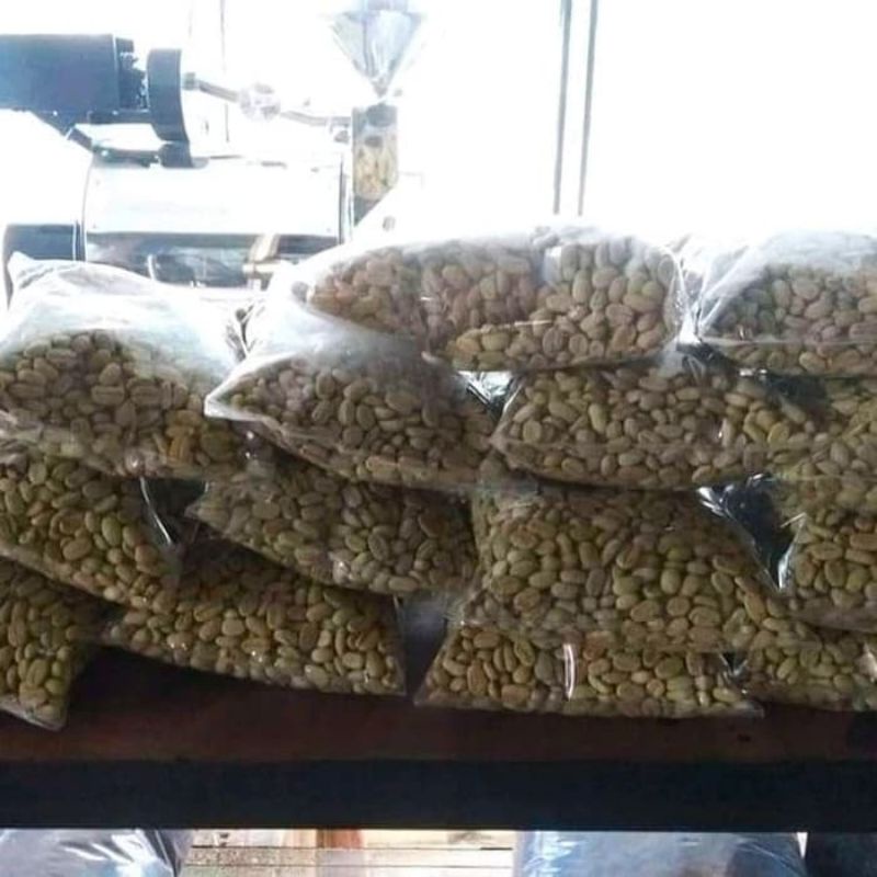 Biji bibit Kopi Arabika Ateng Super Unggul 500gr