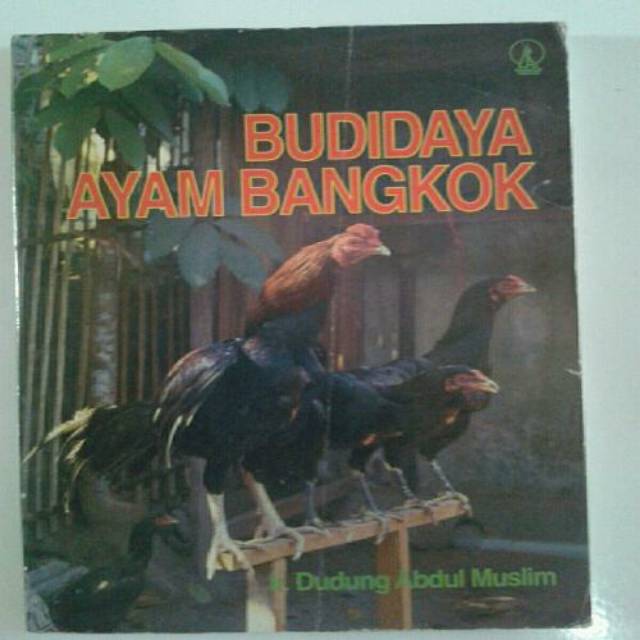 Budidaya Ayam Bangkok Shopee Indonesia