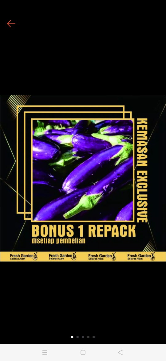 350 Biji Benih Sawi Tosakan Terbaik