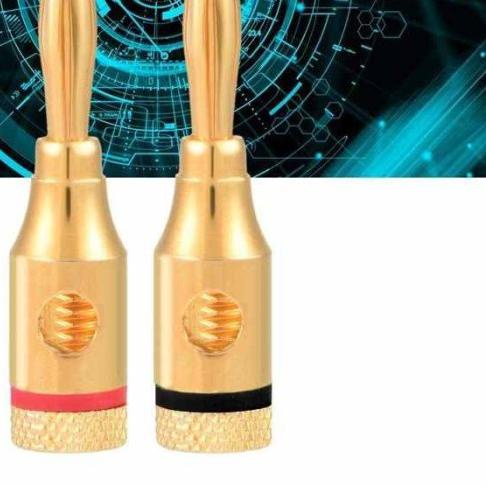 ← JACK BANANA NAKAMICHI UNTUK SPEAKER DAN AMPLIFIER - Nakamichi Ω
