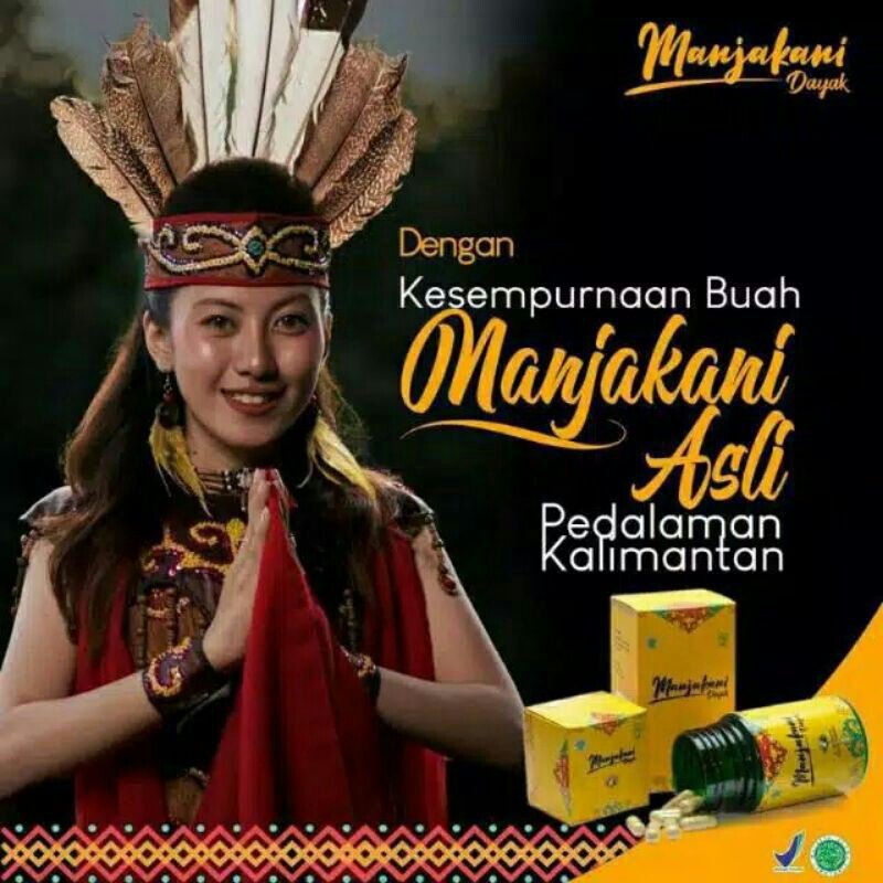 Manjakani Dayak ORI Manjakani Obat Herbal Atasi keputihan Asli Original Terbaik