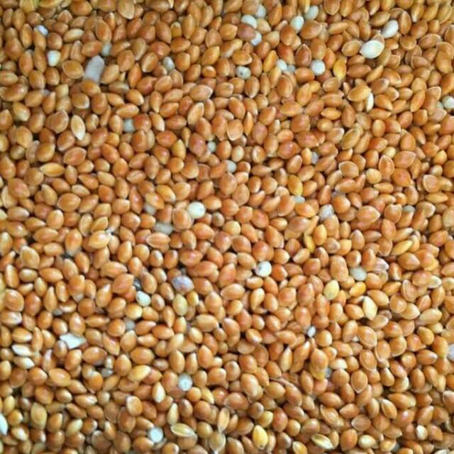 Milet merah / miled merah kemasan 500 gram