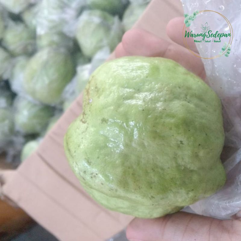 

Jambu Kristal Kebumen Jambu ada Biji Jambu Enak Buah Segar Bekasi Cikarang