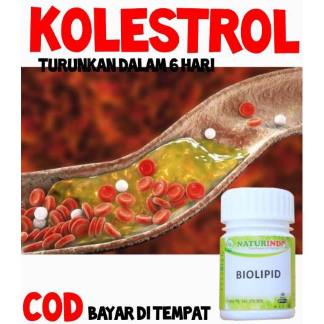 Obat Herbal Kolestrol Kolesterol Lemak Darah Kolestrol Ldl Hdl Kolestrol Tlegeserid Naturindo Shopee Indonesia