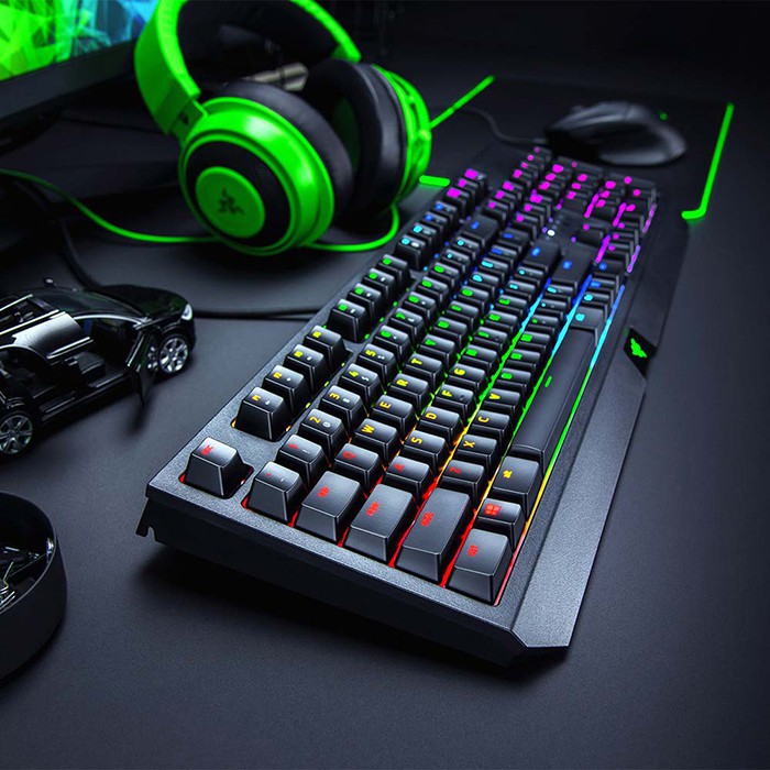 Razer BlackWidow Mechanical Gaming Keyboard Black Widow RGB